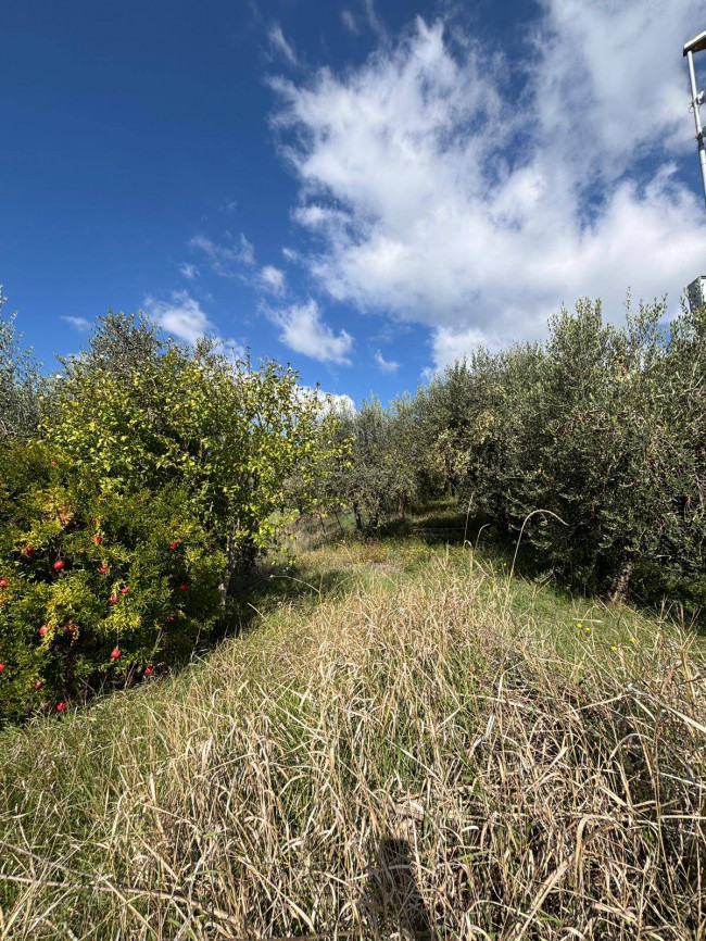 Villetta Bifamiliare in vendita a Fratta Todina