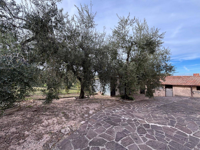 Casa singola in vendita a Marsciano