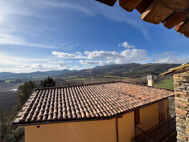 Cielo Terra in vendita a Marsciano