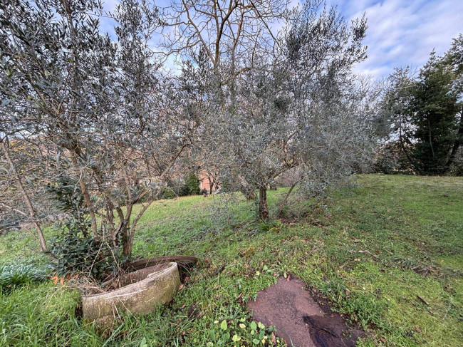 Casa singola in vendita a Collazzone