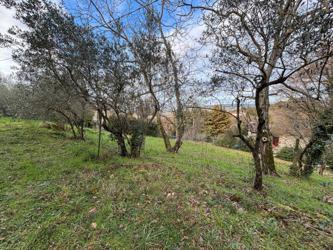 Casa singola in vendita a Collazzone