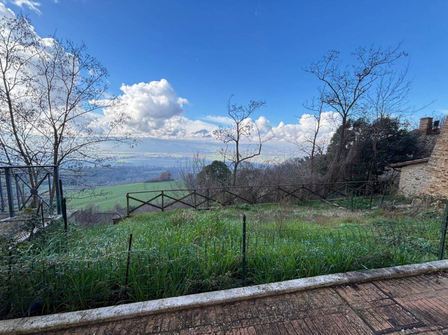 Cielo Terra in vendita a Collazzone