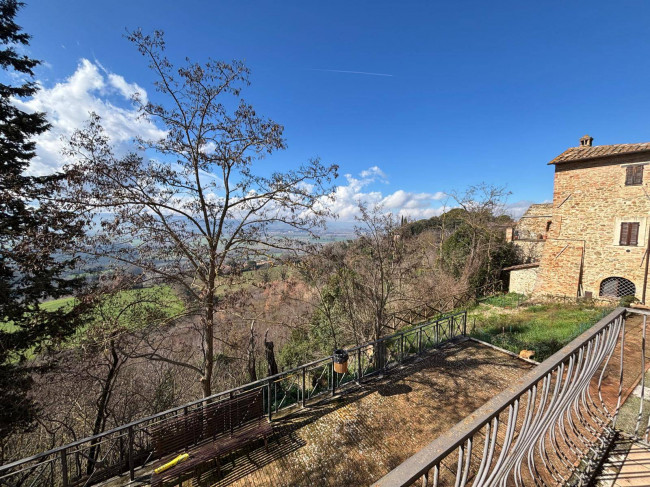 Cielo Terra in vendita a Collazzone