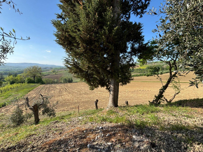 Appartamento in vendita a Marsciano