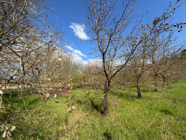 Single House for sale in Monteleone d'Orvieto