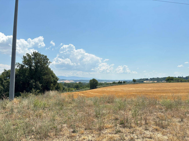 Casale in vendita a Fratta Todina