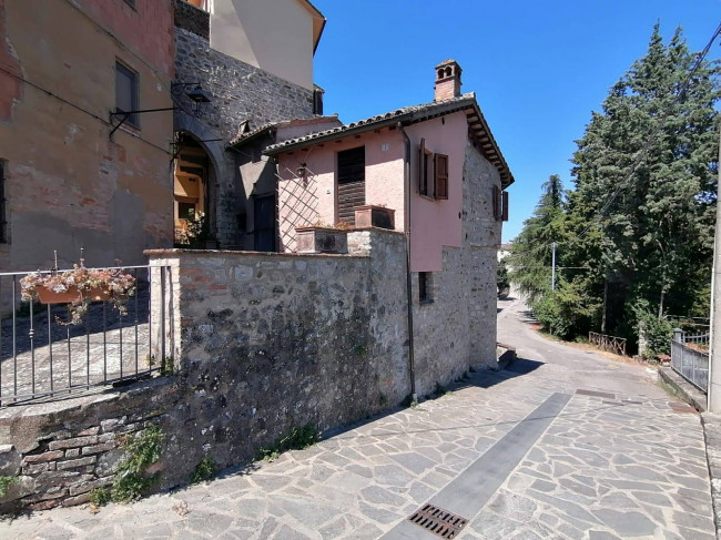 Cielo Terra in vendita a San Venanzo