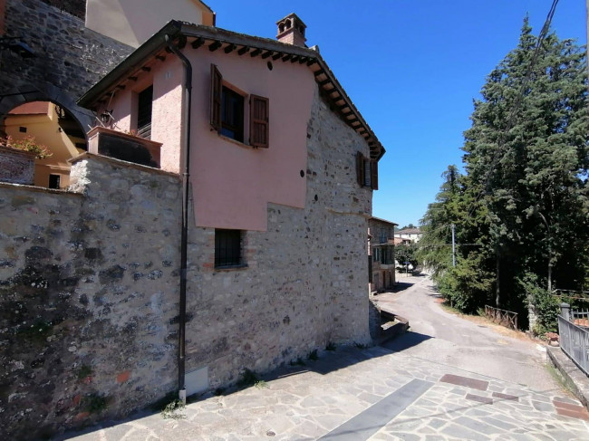 Cielo Terra in vendita a San Venanzo