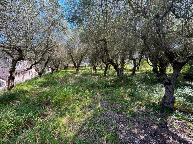 Casa singola in vendita a San Venanzo