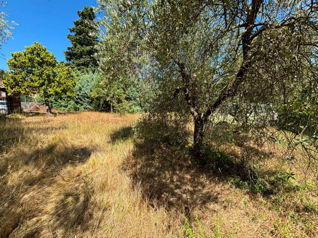 Casa singola in vendita a San Venanzo