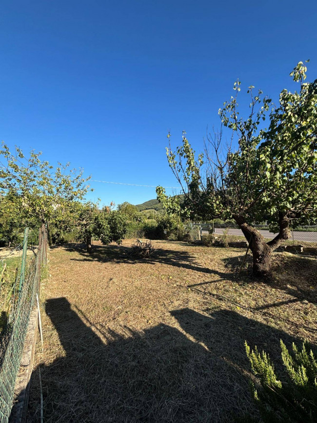 Appartamento in vendita a Collazzone