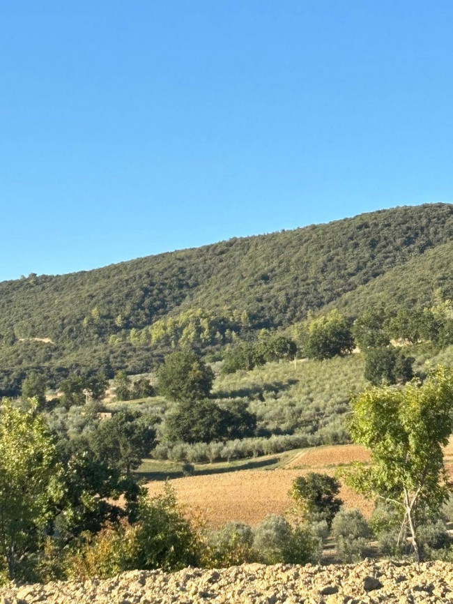 Terreno Agricolo in vendita a Gualdo Cattaneo