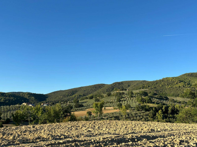 Terreno Agricolo in vendita a Gualdo Cattaneo