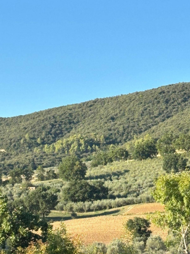 Terreno Agricolo in vendita a Gualdo Cattaneo