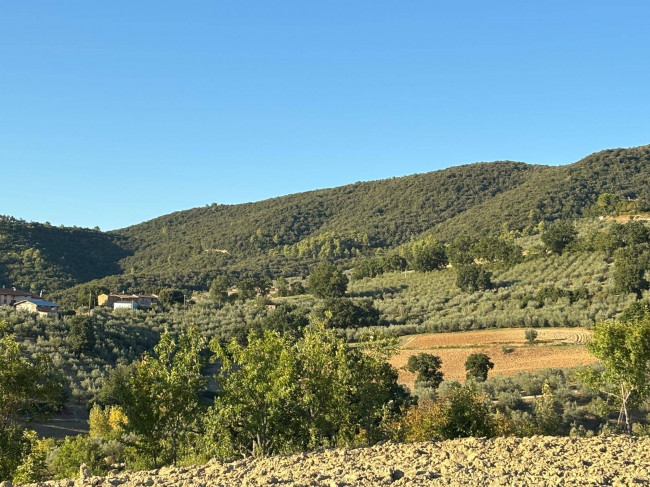 Terreno Agricolo in vendita a Gualdo Cattaneo
