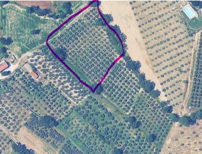 Terreno Agricolo in vendita a Gualdo Cattaneo