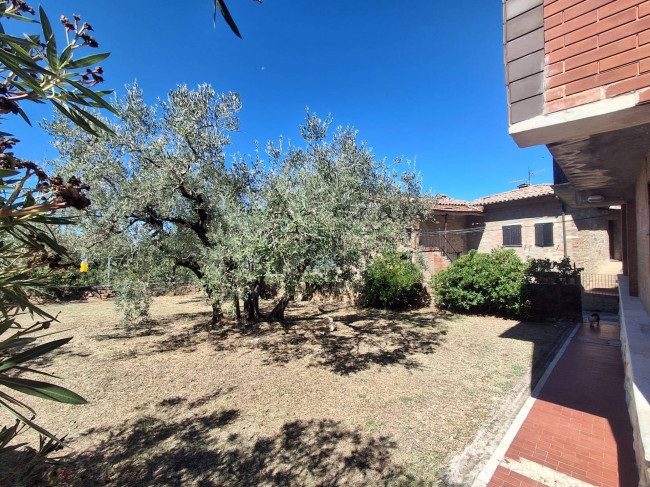 Single House for sale in Collazzone