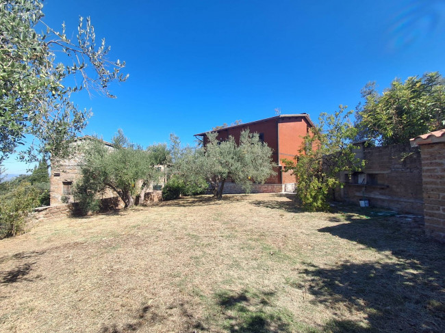 Single House for sale in Collazzone