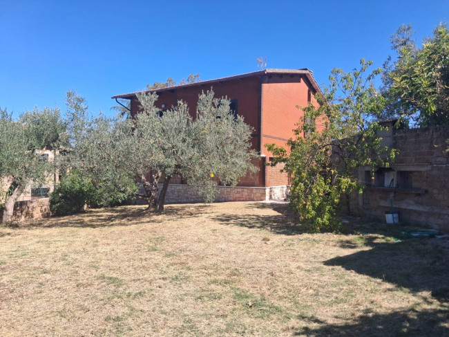 Single House for sale in Collazzone