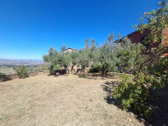 Single House for sale in Collazzone