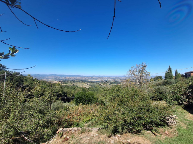 Single House for sale in Collazzone
