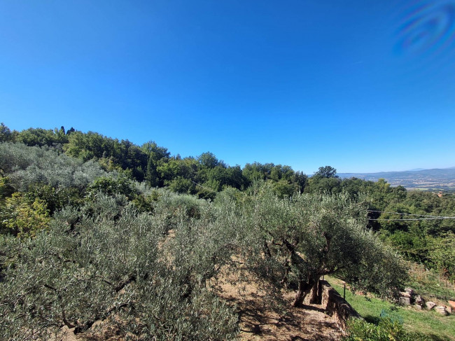 Single House for sale in Collazzone