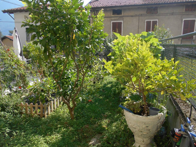 Casa singola in vendita a Oliveto Lario