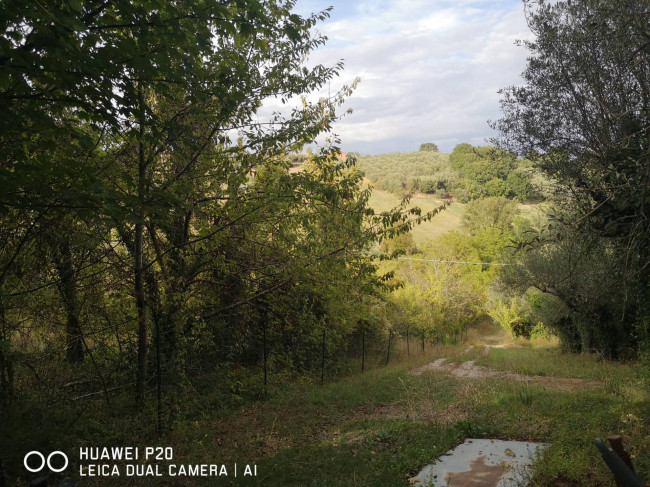  in vendita a Perugia