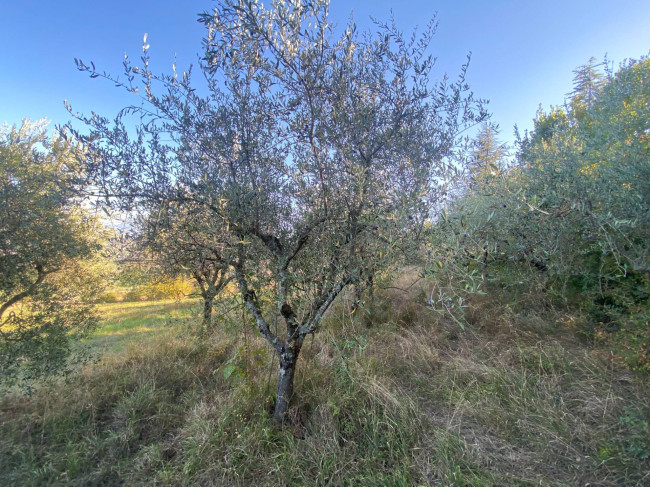  in vendita a Perugia