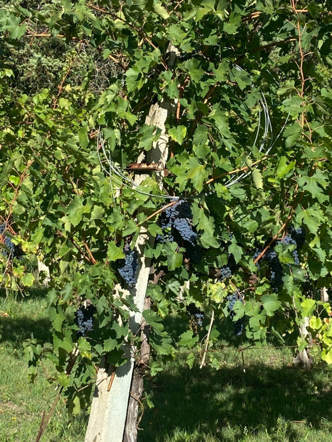  in vendita a Perugia