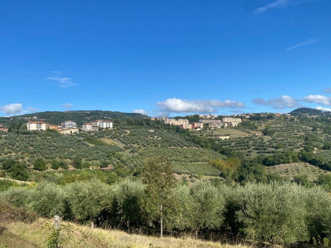  for sale in Perugia