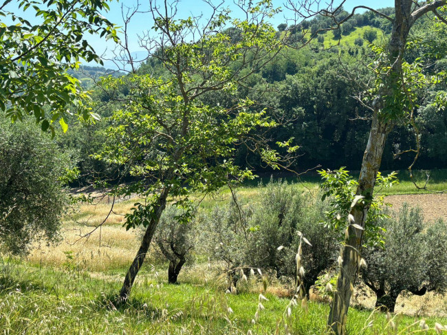  for sale in Perugia