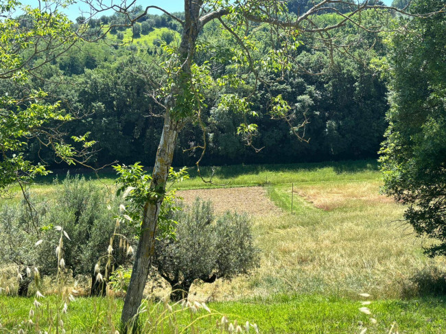  for sale in Perugia