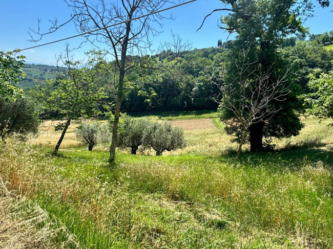  for sale in Perugia