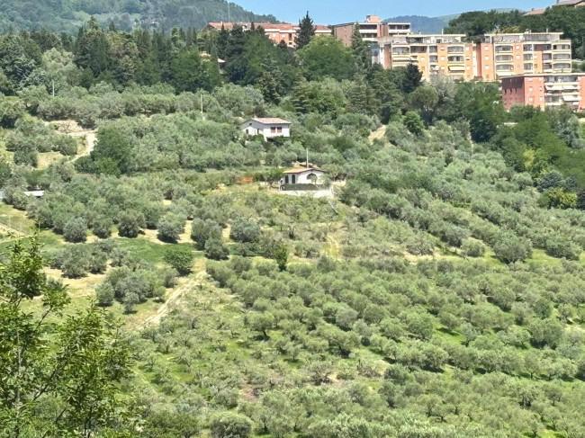  for sale in Perugia
