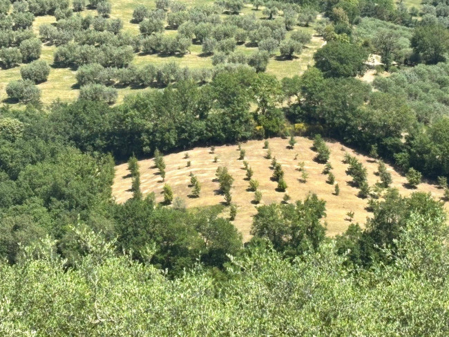  for sale in Perugia