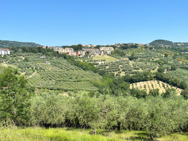  for sale in Perugia