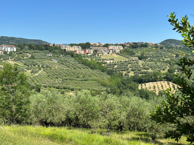  for sale in Perugia