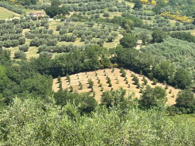  for sale in Perugia