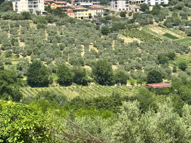  for sale in Perugia