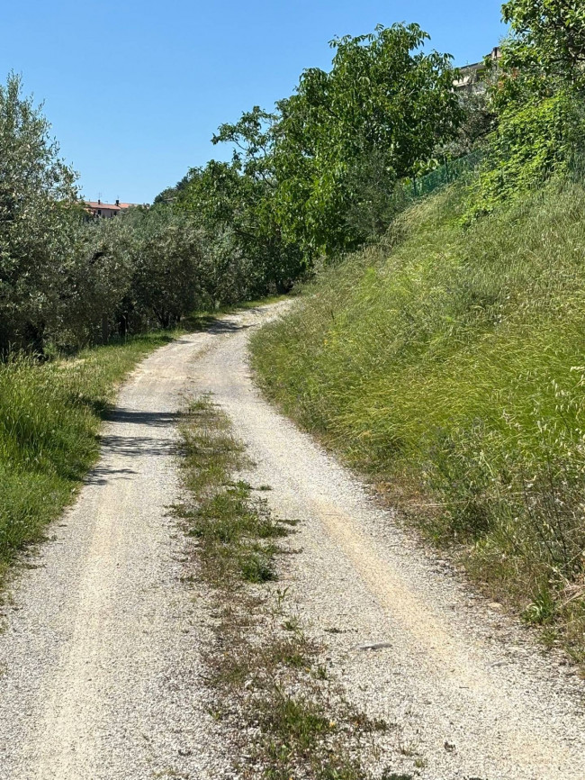  for sale in Perugia