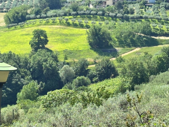  for sale in Perugia