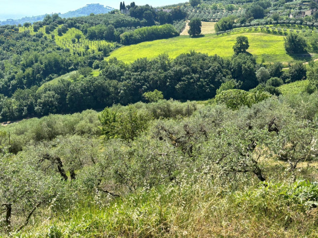  for sale in Perugia