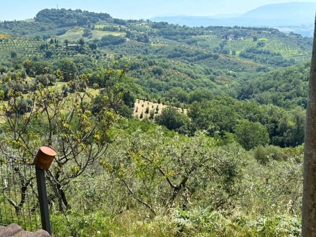  for sale in Perugia