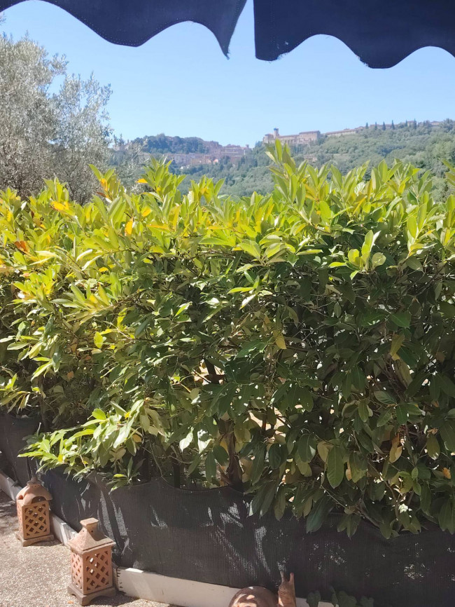  for sale in Perugia