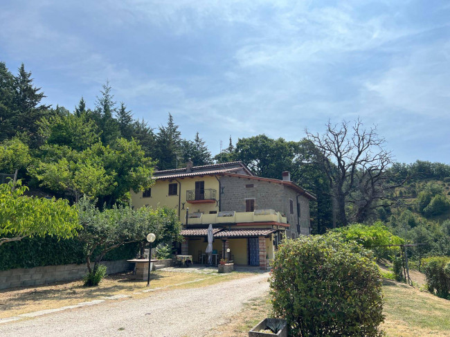  for sale in Gubbio