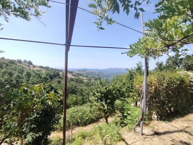  for sale in Gubbio