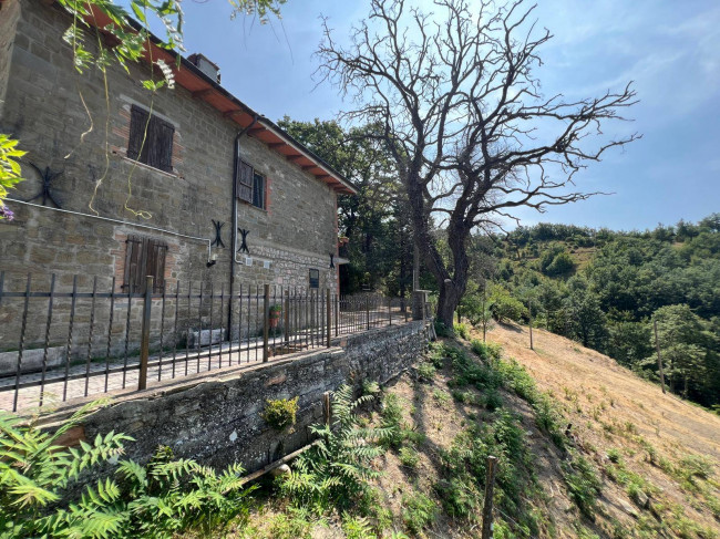  for sale in Gubbio