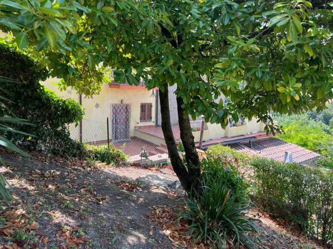  for sale in Gubbio