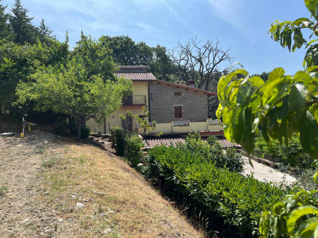  for sale in Gubbio
